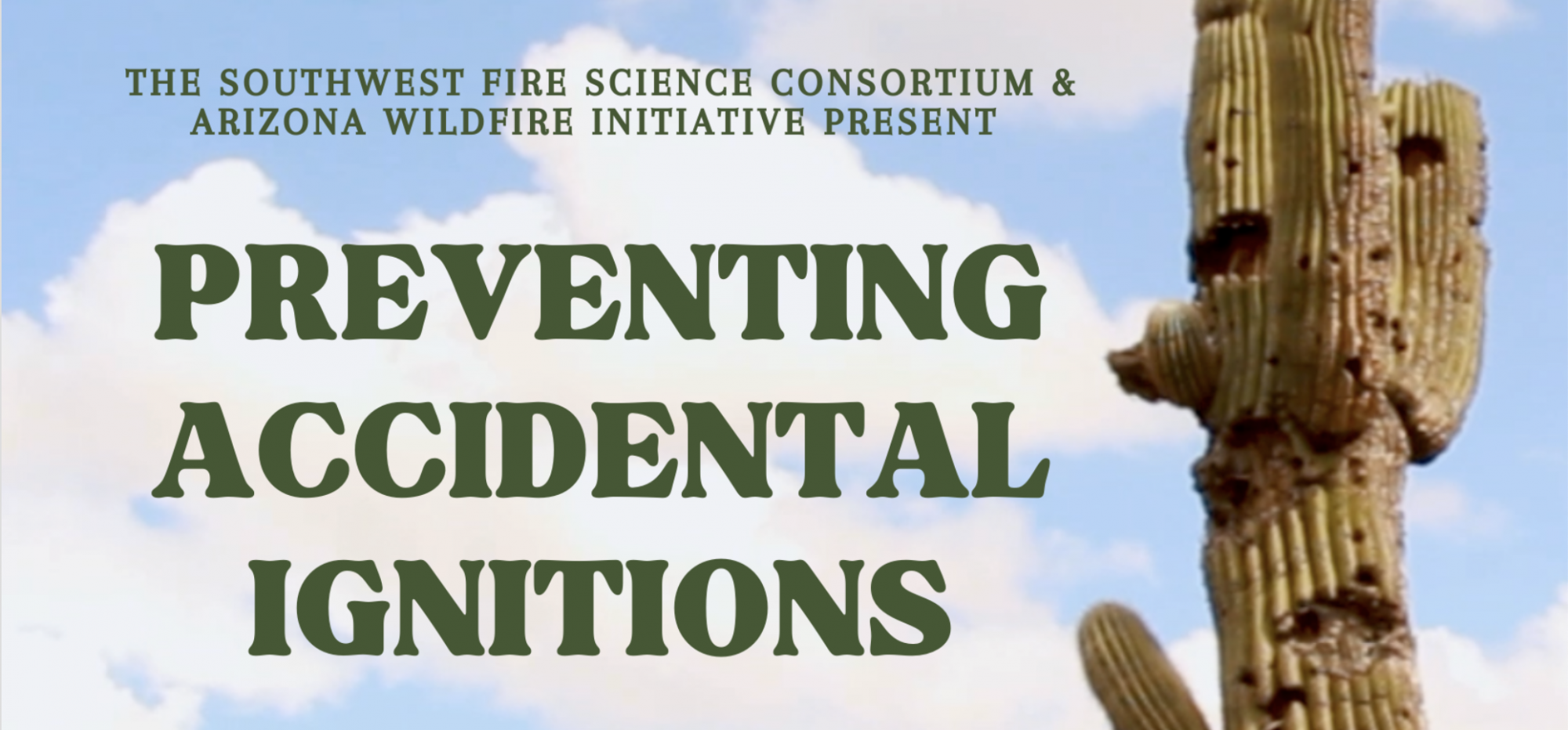 Preventing accidental ignitions title part of flyer